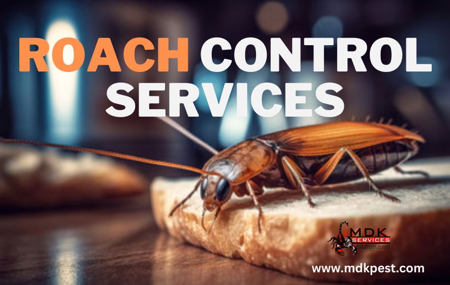 This image is about Roach control services.